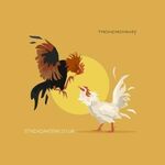 thomohomnaystnin is swapping clothes online from 