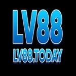 lv88today is swapping clothes online from 