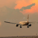 flighta987654 is swapping clothes online from 