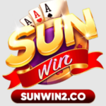 sunwin2co is swapping clothes online from 