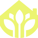 hagiangloopmedia is swapping clothes online from 