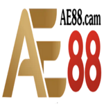 ae88cam is swapping clothes online from 