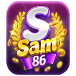 SAM86 is swapping clothes online from 