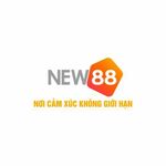 new88cco is swapping clothes online from 