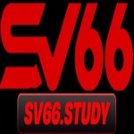 sv66study is swapping clothes online from 