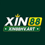 xin88hvart is swapping clothes online from 