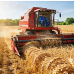 cylinders is swapping clothes online from 