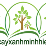 caycongtrinh is swapping clothes online from 