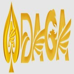 dagateam2 is swapping clothes online from 