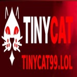 Tinycat99 lol is swapping clothes online from 