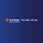 amberhoxa is swapping clothes online from 