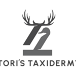 toristaxidermy is swapping clothes online from 