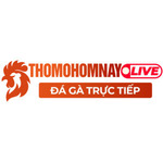 Đá Gà Trực Tiếp ThoMoHomNay is swapping clothes online from 
