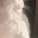 weseci5264 is swapping clothes online from 