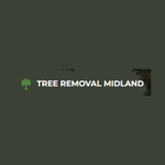 treeremovalmidland is swapping clothes online from 
