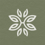 nhahangchayhoi is swapping clothes online from 