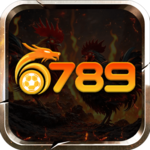 6789c1af is swapping clothes online from 