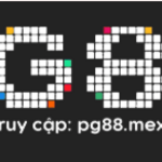 leminhquanrg is swapping clothes online from 