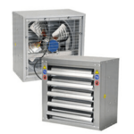 quatthonggio600 is swapping clothes online from 