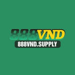 888vndsupply is swapping clothes online from 