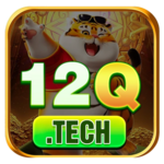 12qtech2025 is swapping clothes online from 