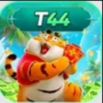 t44 is swapping clothes online from 