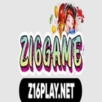Z16  is swapping clothes online from 