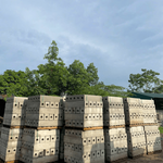 betongnguyenhuyks is swapping clothes online from 