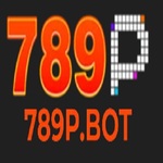 789pbot is swapping clothes online from 