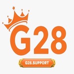 G28 support is swapping clothes online from 