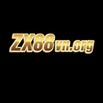 zx88vnorg01 is swapping clothes online from 