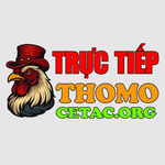 ĐÁ GÀ TRỰC TIẾP CETAC is swapping clothes online from 