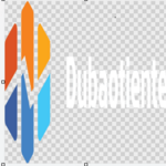 dubaotientepa is swapping clothes online from 