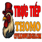 dagatructiepcicil is swapping clothes online from 