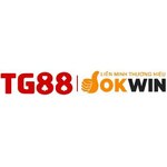 TG88 is swapping clothes online from 