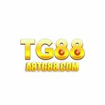 TG88 is swapping clothes online from 