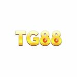 TG88 is swapping clothes online from 