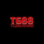 TG88 is swapping clothes online from 