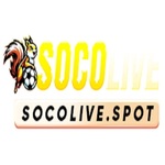 socolivespot1 is swapping clothes online from 