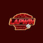 lapwinsnet is swapping clothes online from 