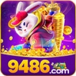9486 is swapping clothes online from 
