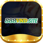 888vndsite is swapping clothes online from 