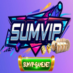 sumvipgamenet is swapping clothes online from 