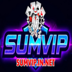 sumvipinnet is swapping clothes online from 