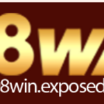 98winda is swapping clothes online from 