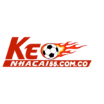 haquoctrungkeonhacai5 is swapping clothes online from 