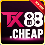 tx88cheap is swapping clothes online from 