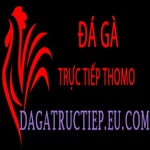dagatructiepeucom is swapping clothes online from 