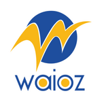 waioz is swapping clothes online from 