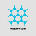 ywspxvcom is swapping clothes online from 